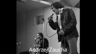 Andrzej Zaucha - Piosenka zwyczajna o spacerze w parku