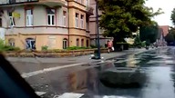 Głodne Mewy - polowanie na śmieci