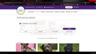 ADOPTCJA PSA CZY KOTA ODCINEK 4