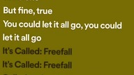 Its called freefall - Rainbow Kitten Surprise