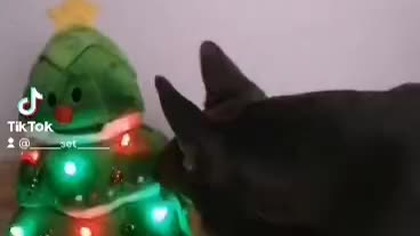 d7f6bf7f-a708-4a65-a1ba-19e071d26733