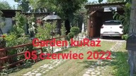 Garden kuRaż - spacer po ogrodzie 05 czerwiec 2022