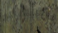 cs 1.  6 odc 174 #cs16 #counterstrike16 #shorts