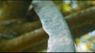 Nature in Motion | Polany, Poland 2018