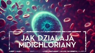 Jak działają MIDICHLORIANY Czym tak naprawdę są HOLOCRON