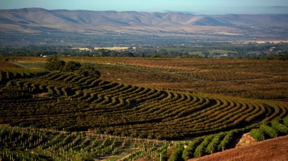 The. Mentalist. S02E15.pl