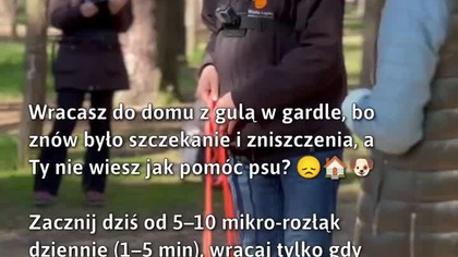 Mikrorozłąki dla spokojnego psa #psy#lękseparacyjny#mikrorozłąki