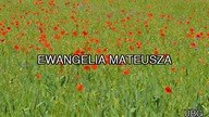 1 UBG Ewangelia Mateusza