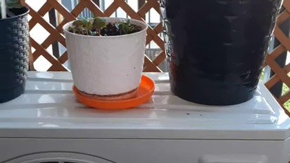 Przy sobocie po robocie - dzień dobry