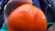 Daily Vlog#3 - NAJEBANI W KIELCACH Z LCHP [ ChwytakTV ]