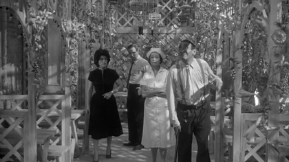 The.  Fugitive.  Kind.  Jak.  ptaki.  bez.  gniazd.  1960.  Lektor.pl