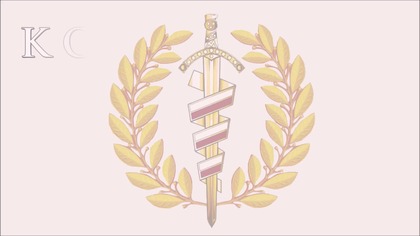 Suwerenność państw kontra prawo silniejszego - Komentarz Narodowy