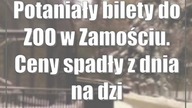 Potaniały bilety do ZOO w Zamościu.  Ceny spadły z dnia na dzień
