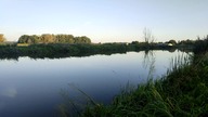 Nysa Łużycka - KLASYCZNY FEEDER i w końcu FAJNE RYBY !!!
