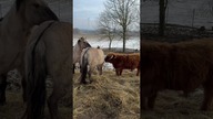 Początki bywają trudne