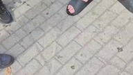 JASPER MINI IRL NA LEWITYNIE