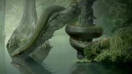 Tytanoboa największy wąż w historii