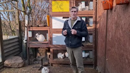 W Garden kuRaż * Kury i budowa woliery dla gołąbków diamentowych * 28.  02.  2025