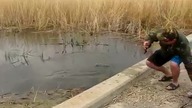 Wędka jest zbyt nudna
