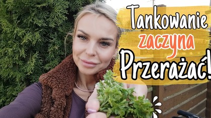 SZOK NA STACJI - WRACAMY PIESZO - OBIAD Z NICZEGO