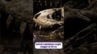 Jak wielkie zęby miał tyranozaur?