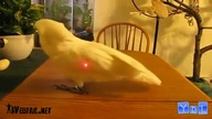Best Fails Of The Week September 2011 Week 1