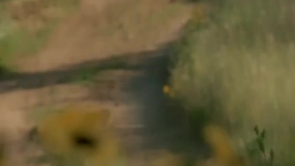 Dr Quinn s01e15 Lektor PL