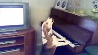 Pies grający na pianinie