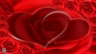 Une Fleur Rien Quune Rose - JOHN GABILOU