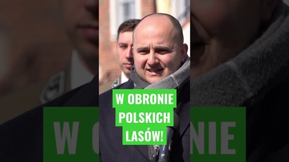 W OBRONIE POLSKICH LASÓW! #shorts #dariuszmatecki #solidarnapolska #lasypaństwowe