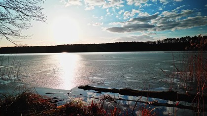 Frozen Lake Birds at Sunset  Natural Winter Forest Soundscape