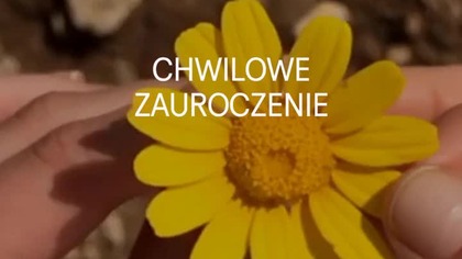 To nie miłość, to złudzenie...