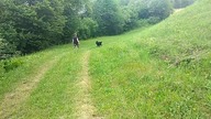 18+ Odcinek 16