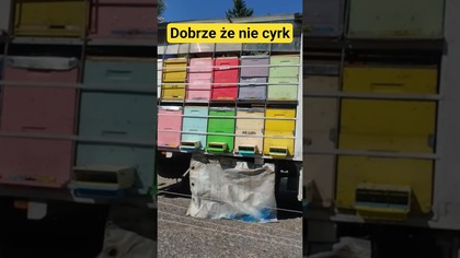 Dobrze że nie cyrk.  #travelvlog #podróże #autostop #vlog #traveling #travel #romania