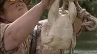 Łowca krokodyli 2002 lektor pl Przygodowy