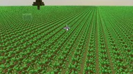Minecraft - Superpłaski świat + sadzonki  ? #Shorts