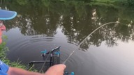 Mocny karp mądrze walczy na kiju #wędkarstwo #ryby #Stachu #karp #amury #karpie #carp #carpfishing