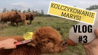 Bezstresowe kolczykowanie. Vlog o Marysi #3