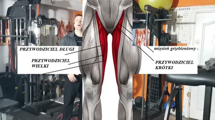 WEWNĘTRZNE STRONY UDA wzmocnij W KOŃCU