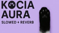 TuneFusion - Kocia Aura (slowed + reverb)  [Polski Rap o kotach 2025 + Tekst]