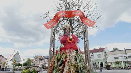 Zbliżają się miejskie dożynki  pergole już zdobią miasto