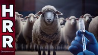 Entire media LYING about FDA approval of new COVID vaccine