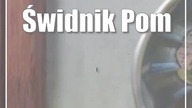 Świdnik: Pomysły są.  Pora na ich analizę
