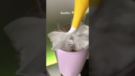 Mój najlepszy pomocnik do walki z kurzem  #uporzadkowana #swiffer #kurze