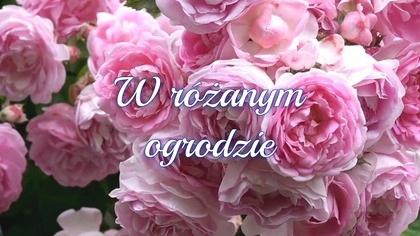 Usiądźmy w alei r&oacute;żanej, letnim słońcem rozgrzanej... 
Jeśli podoba Ci się moja praca, wesprzyj proszę m&oacute;j kanał na YT subskrybując go, aby oglądać więcej podobnych film&oacute;w: @gosia_pik
#dzieńdobry #zaproszenie #milegodnia #dc #ogr&oacute;d #słońce #roza