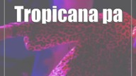 Tropicana party w El Cubano