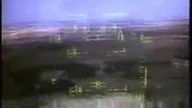 Dlatego wypędza się ptaki z lotniska