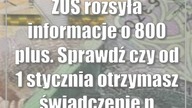 ZUS rozsyła informacje o 800 plus.  Sprawdź czy od 1 stycznia otrzymasz świadczenie na dzieci