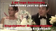 Die Toten Hosen śpiewają po Polsku- "Zamrożona Wyborowa"