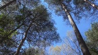Videoblog Wybierz Karte minuta17. 40 ,,Czy jest zazdrosny/a?